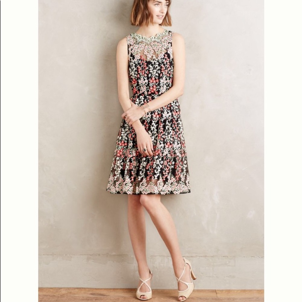 Emilia embroidered dress